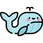Avistamiento de ballenas