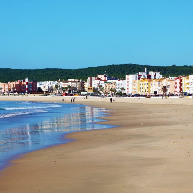 barbate